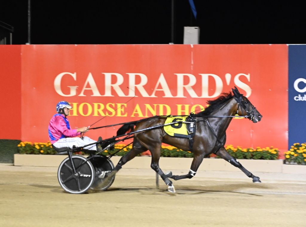 watts up partytime menangle
