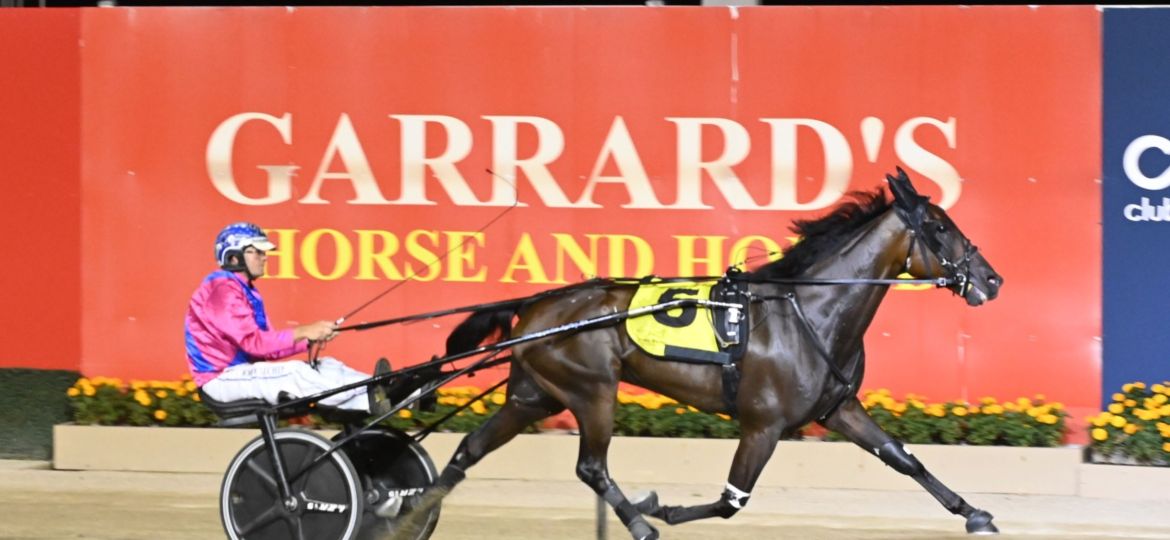 watts up partytime menangle