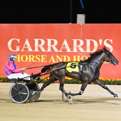 watts up partytime menangle