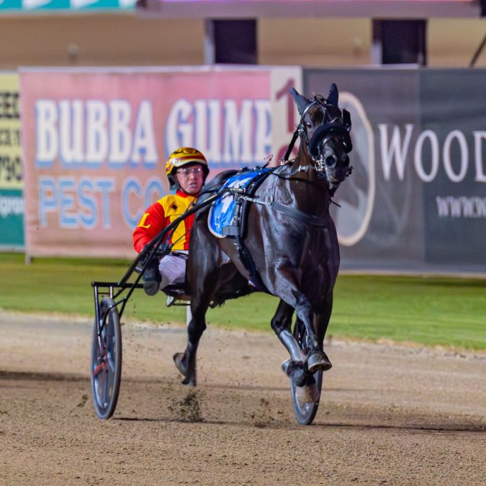 2026 Hammerhead Mile Keayang Zahara