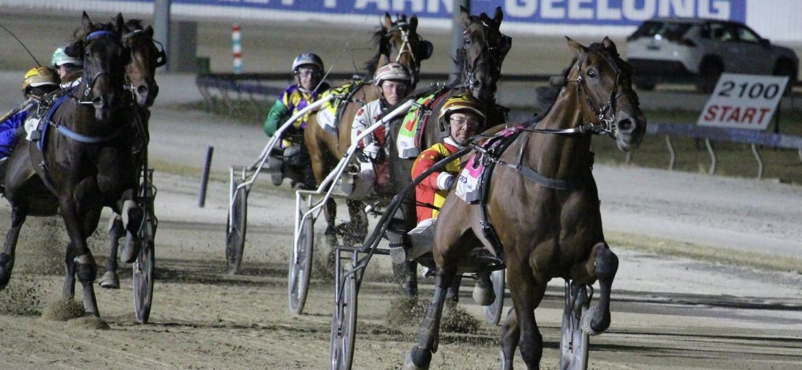 Imperial Monarch Geelong