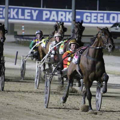 Imperial Monarch Geelong