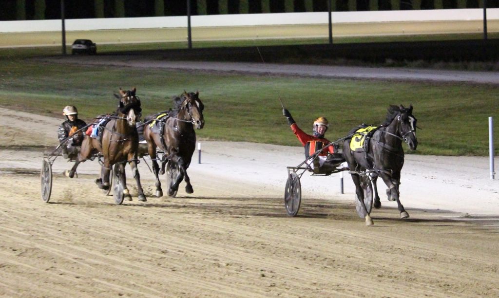 Jilliby Nitro Terang