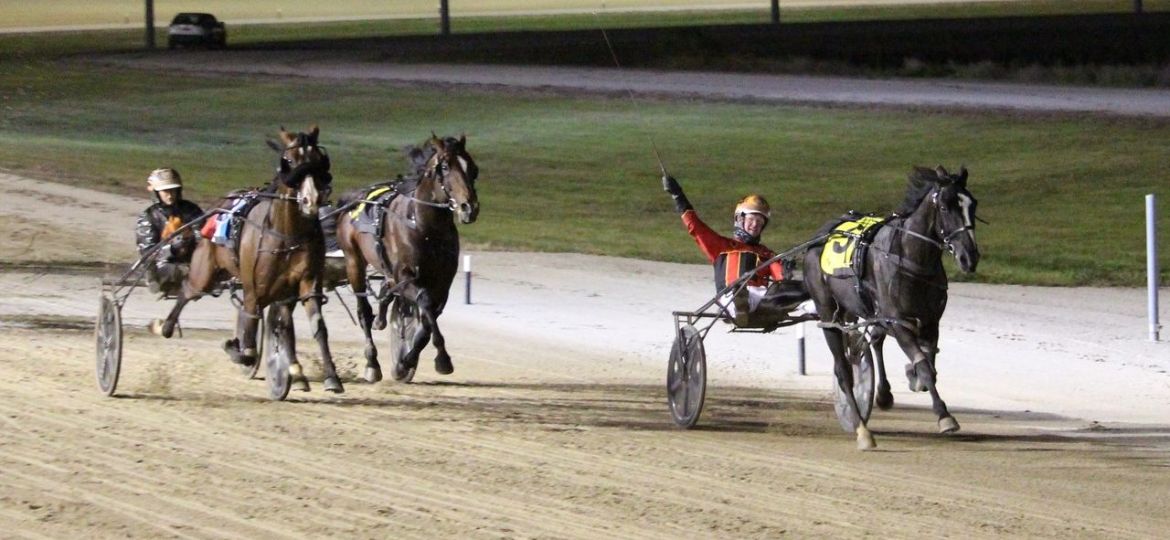 Jilliby Nitro Terang