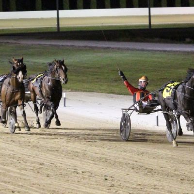 Jilliby Nitro Terang