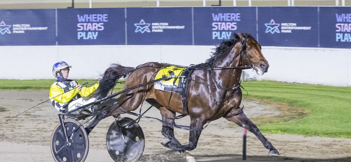 Meteor Moth_20260328