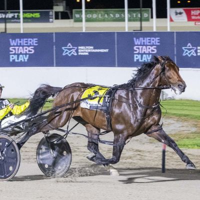 Meteor Moth_20260328