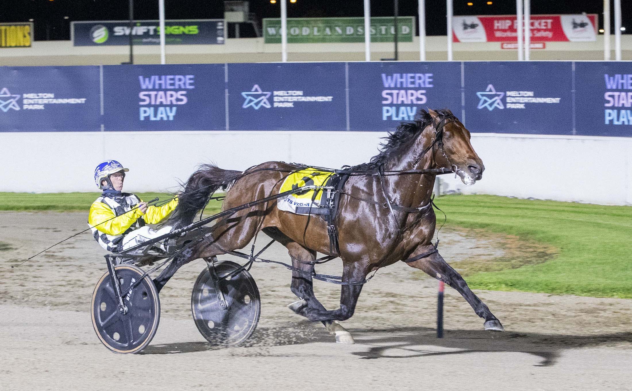 in-form-moth-lights-up-melton-once-again