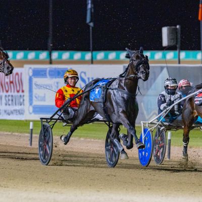 kz menangle