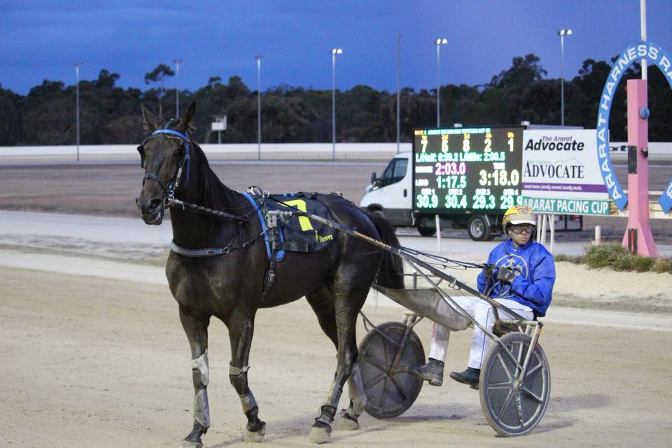 more-wanted-finally-breaks-drought-in-ararat-trotters-cup