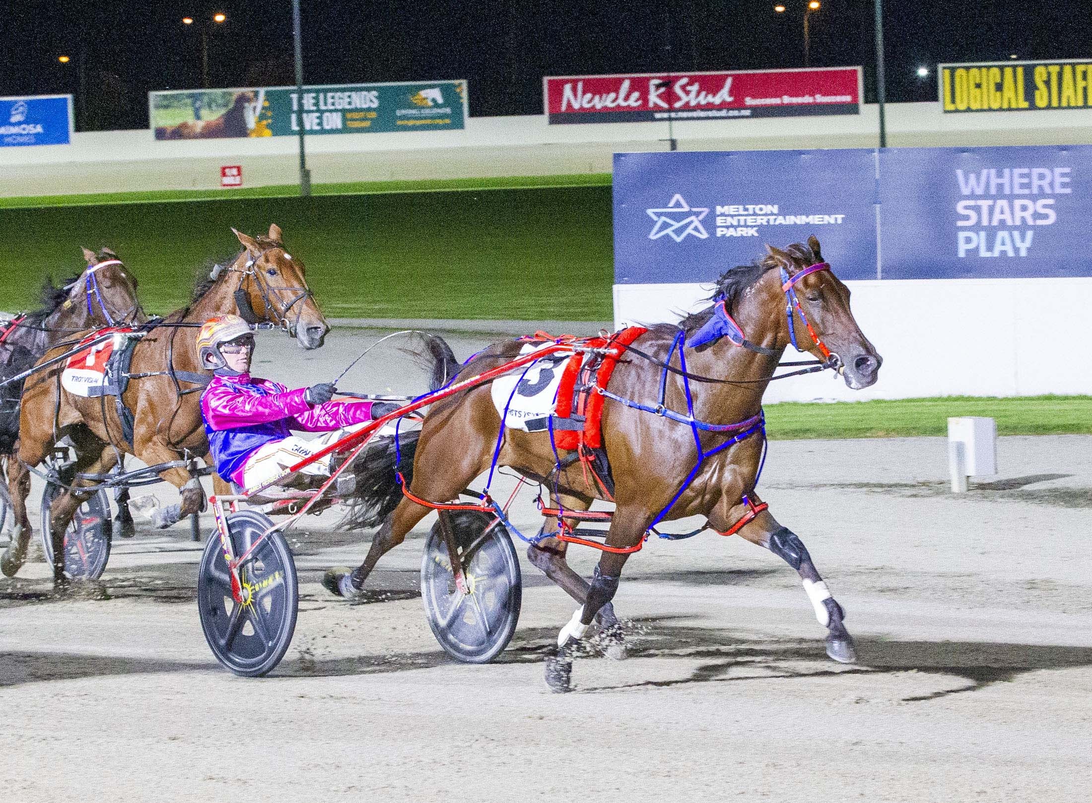 bulletproof-boy-ready-for-nullarbor-after-melton-success