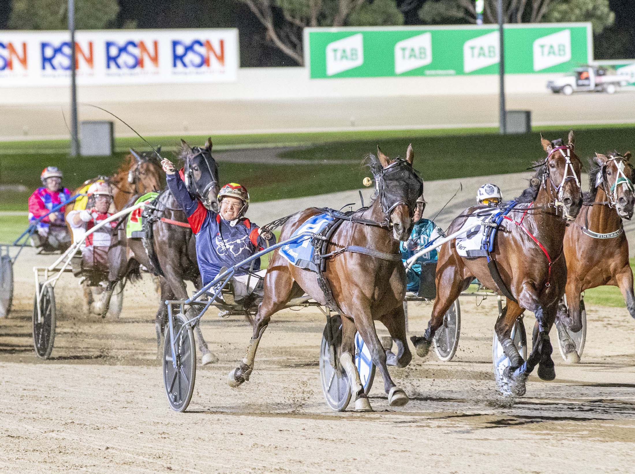 strong-trotting-lineup-the-cornerstone-of-nutrien-melbourne-yearling-sale