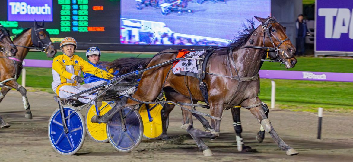 Max Delight Nullarbor