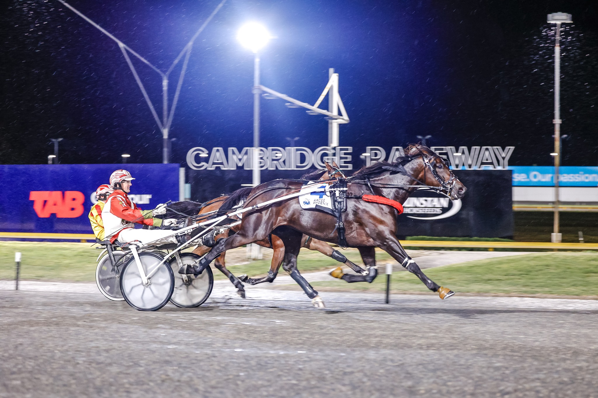 watch-nz-trackside-victorians-chase-glory-on-cambridges-night-of-champions