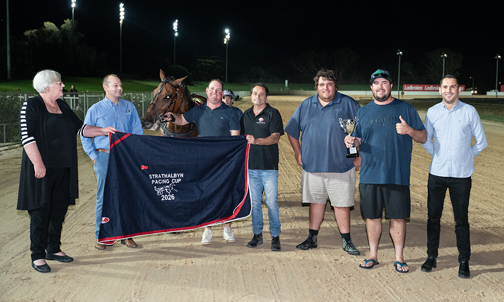 horsnells-pin-up-pacer-looking-for-success-in-the-sunraysia