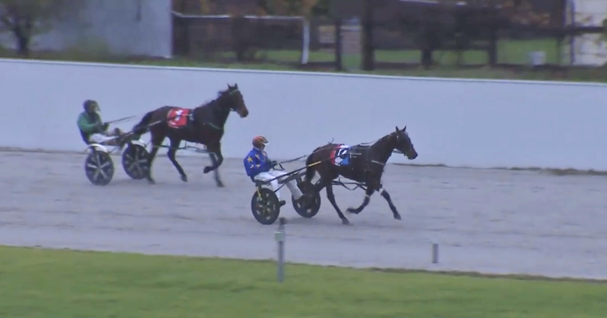 patience-pays-off-as-art-of-the-storm-returns-a-winner