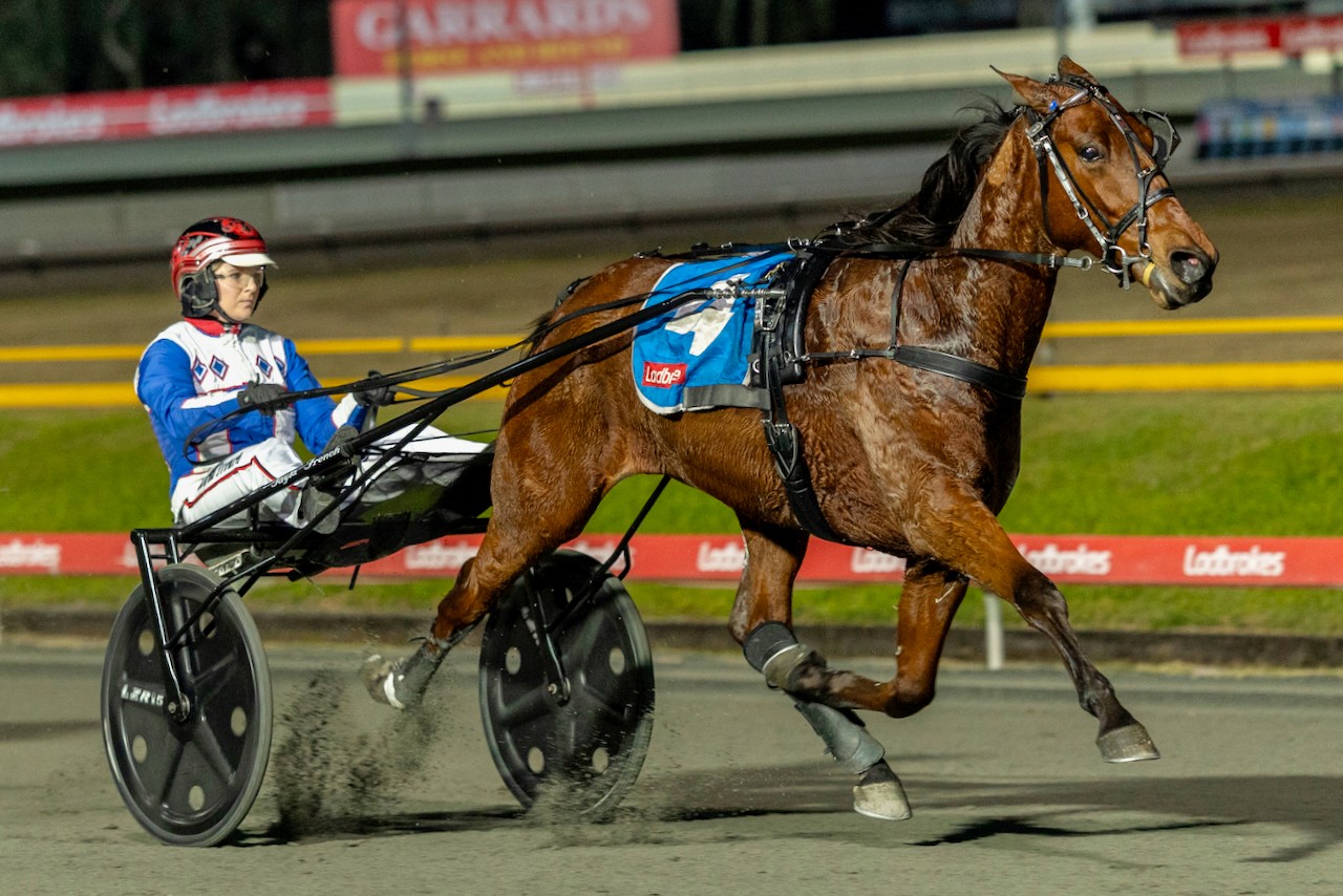 parisian-artiste-returns-for-inter-dominion-mission