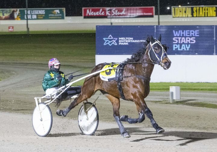 Memories of Maoris come flooding back as colours prevail at Melton