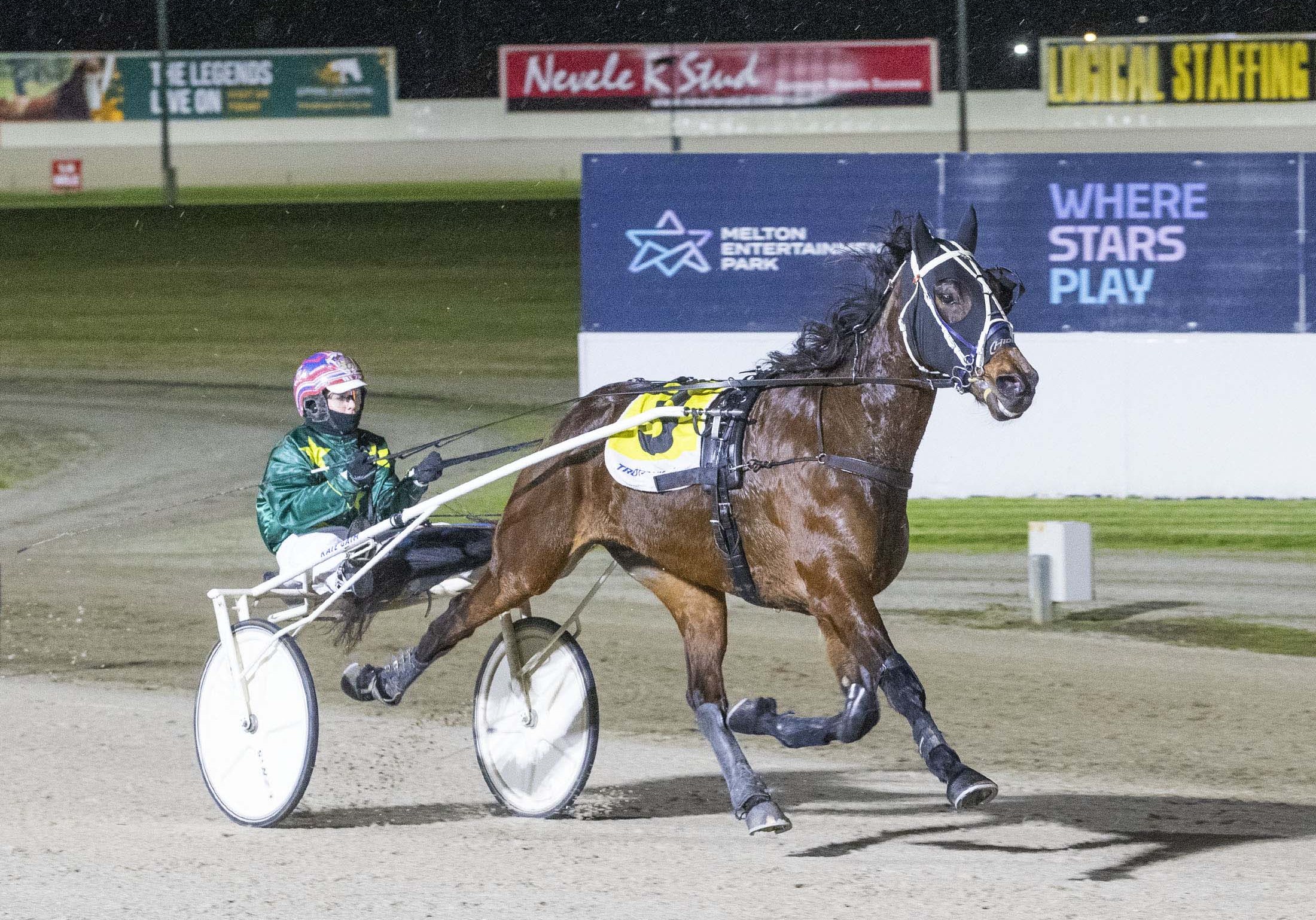 memories-of-maoris-come-flooding-back-as-colours-prevail-at-melton
