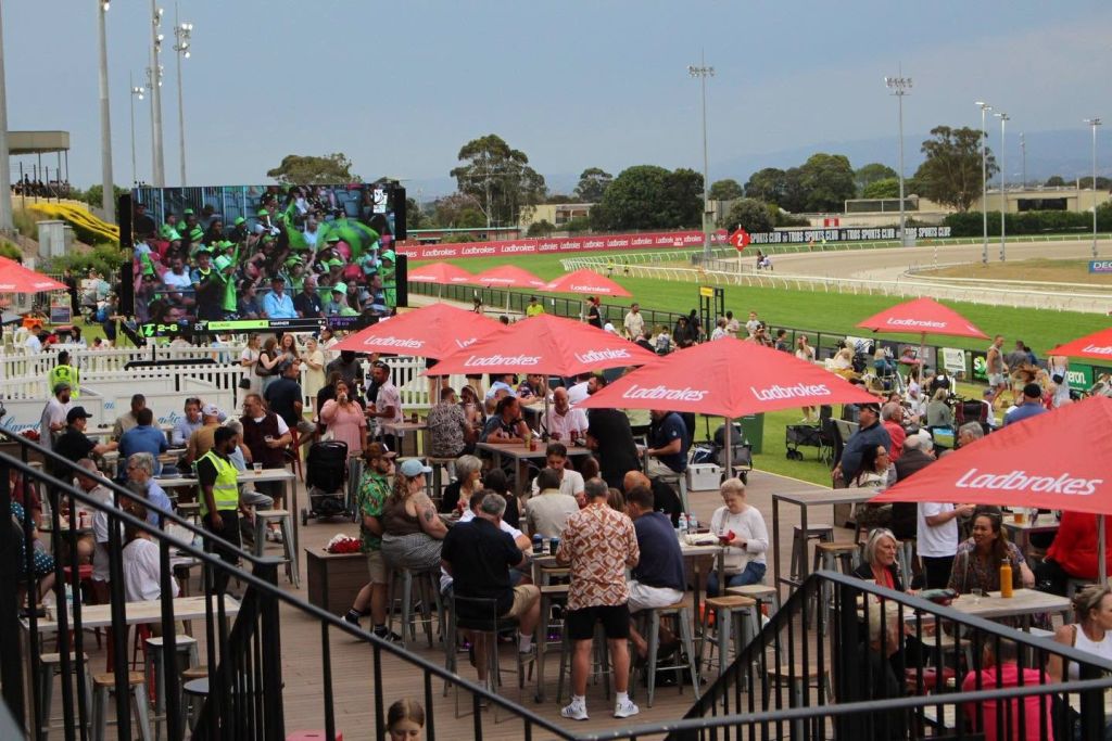 Cranbourne generic
