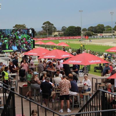 Cranbourne generic