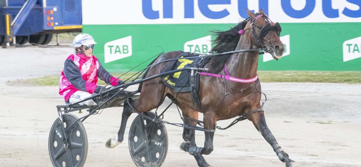 Race 3: Tabcorp Park, Saturday 26-10-2019 Moneyquest Melton Vicbred Pace (Nr 70 to 79.) Winner: Hurricane Harley (7) Trainer: Emma Stewart; Driver: Kima Frenning Race Distance: 2,240 metres, Mile Rate: 1.55.6 photography: Stuart McCormick