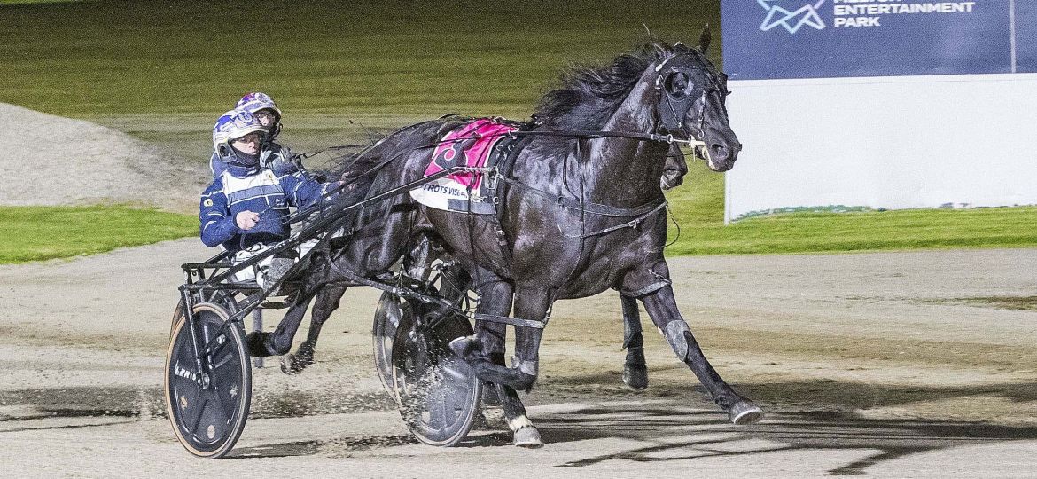 Race 5: Melton Park, Saturday 15-8-2026 Benstud Standardbreds Youthful Stakes (2yo Colts & Geldings)(No Nr.) Winner: Cardigan Sniper (8) Trainer: Emma Stewart; Driver: Mark Pitt Race Distance: 2,240 metres, Mile Rate: 1.56.1 photography: Stuart McCormick