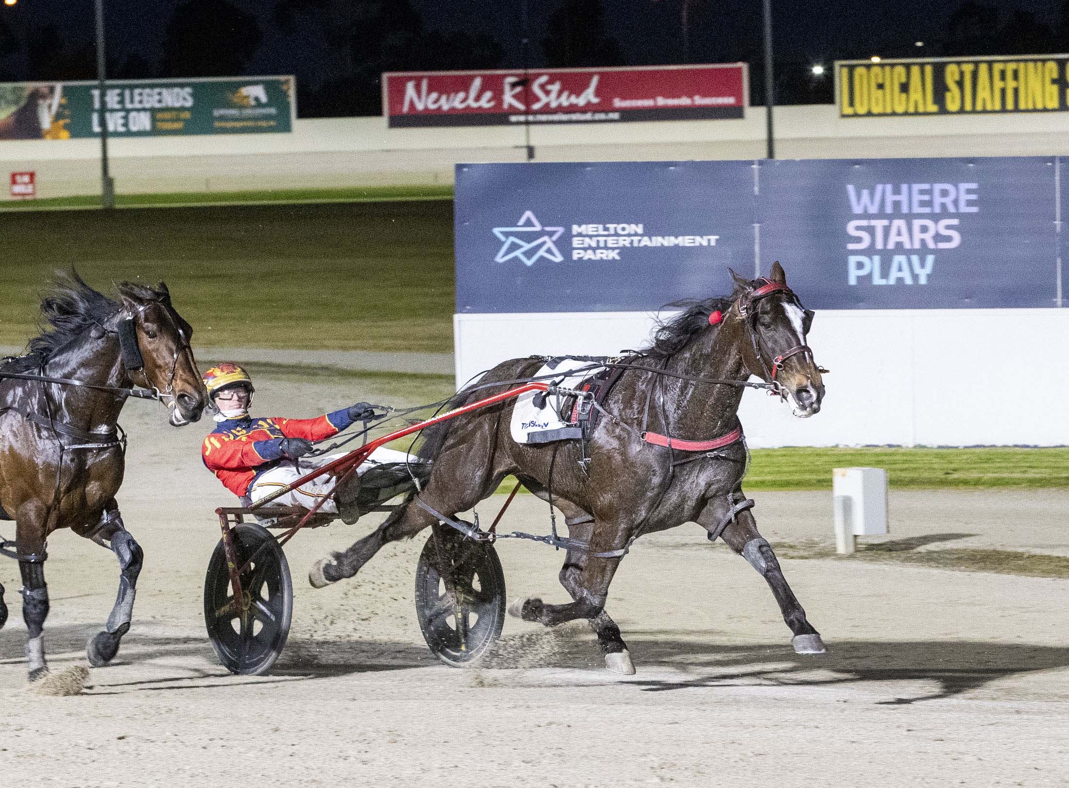 herbertson-drives-half-the-card-at-melton