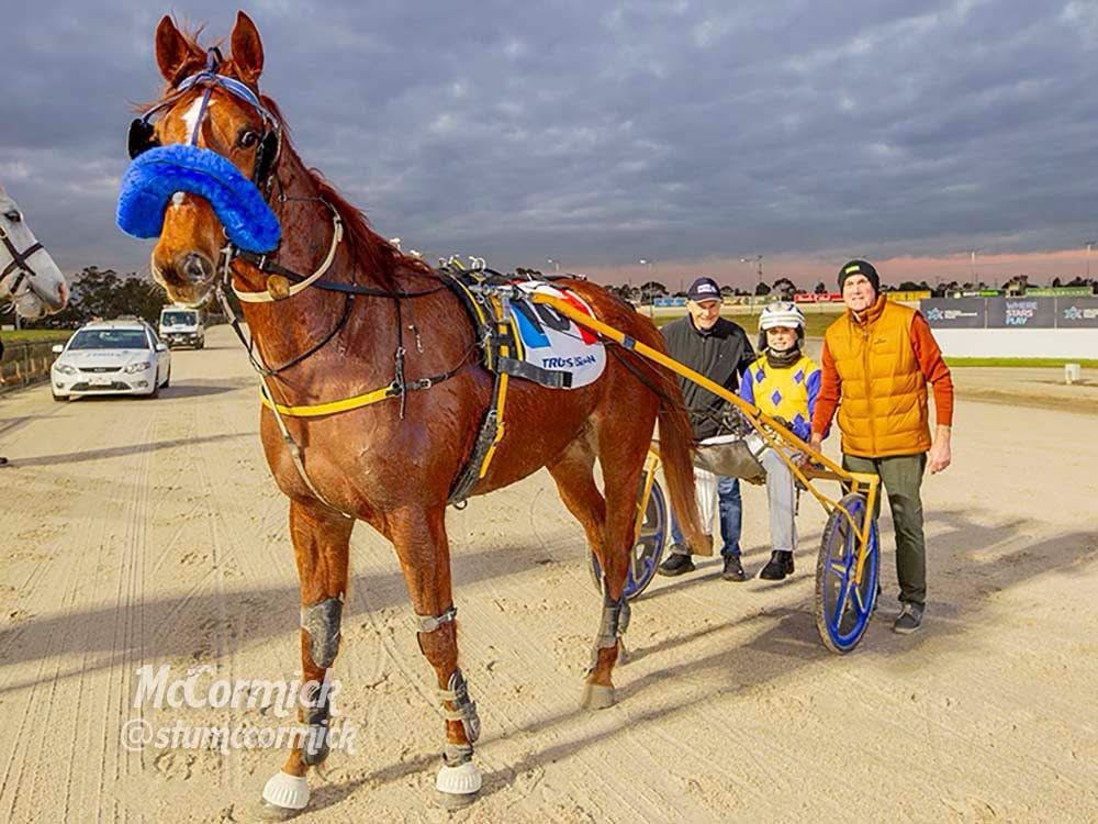 wharton-breeders-outlook-sunny-after-broodmare-buys
