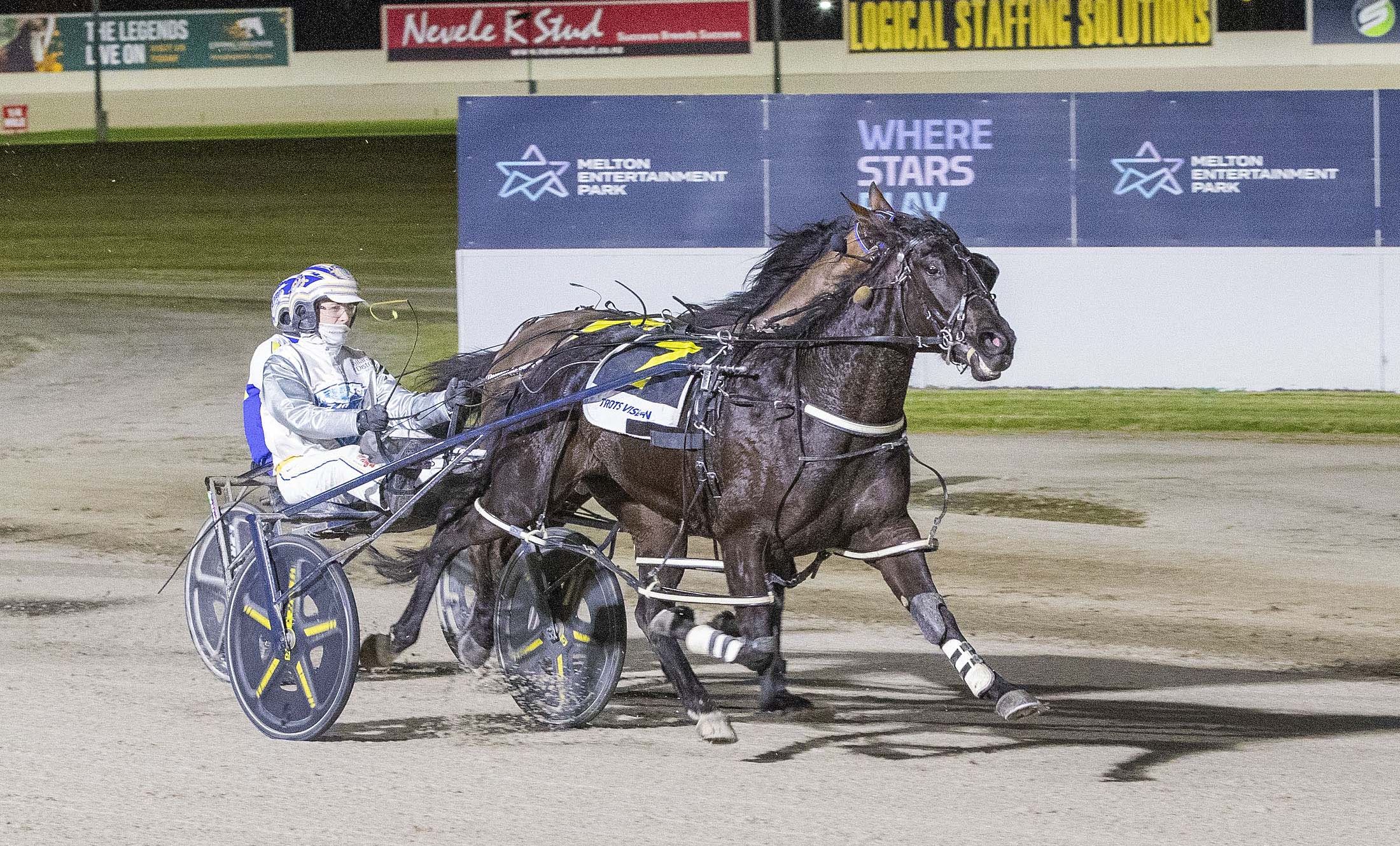 youthful-stars-set-their-sights-on-vicbred-glory
