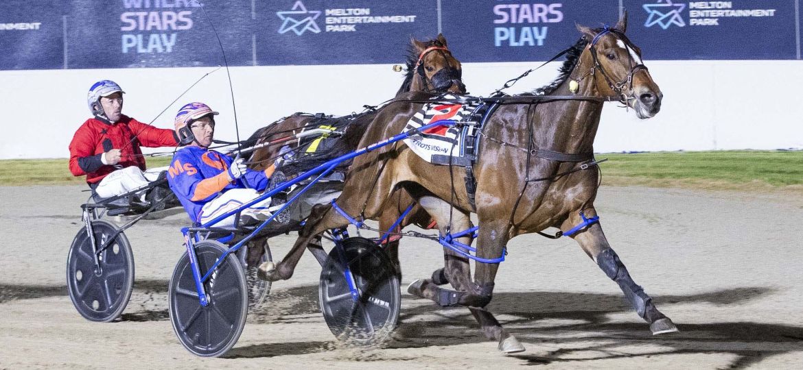 Race 5: Melton Park, Saturday 11-10-2025 Woodlands Stud Victoria Derby (3rd Heat)(No Nr.) Winner: Sao Paulo Simba (2) Trainer & Driver: Michael Stanley Race Distance: 2,760 metres, Mile Rate: 1.58.0 photography: Stuart McCormick