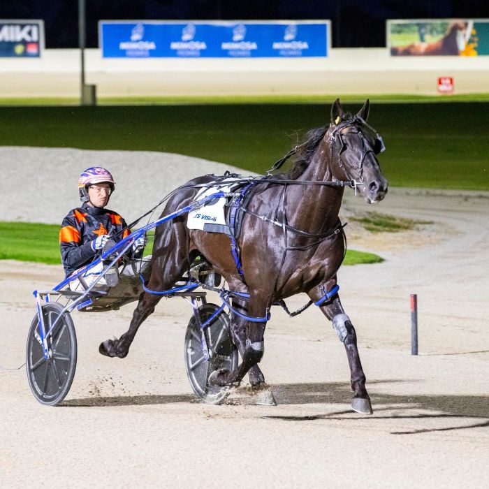 Soho Trump 2
