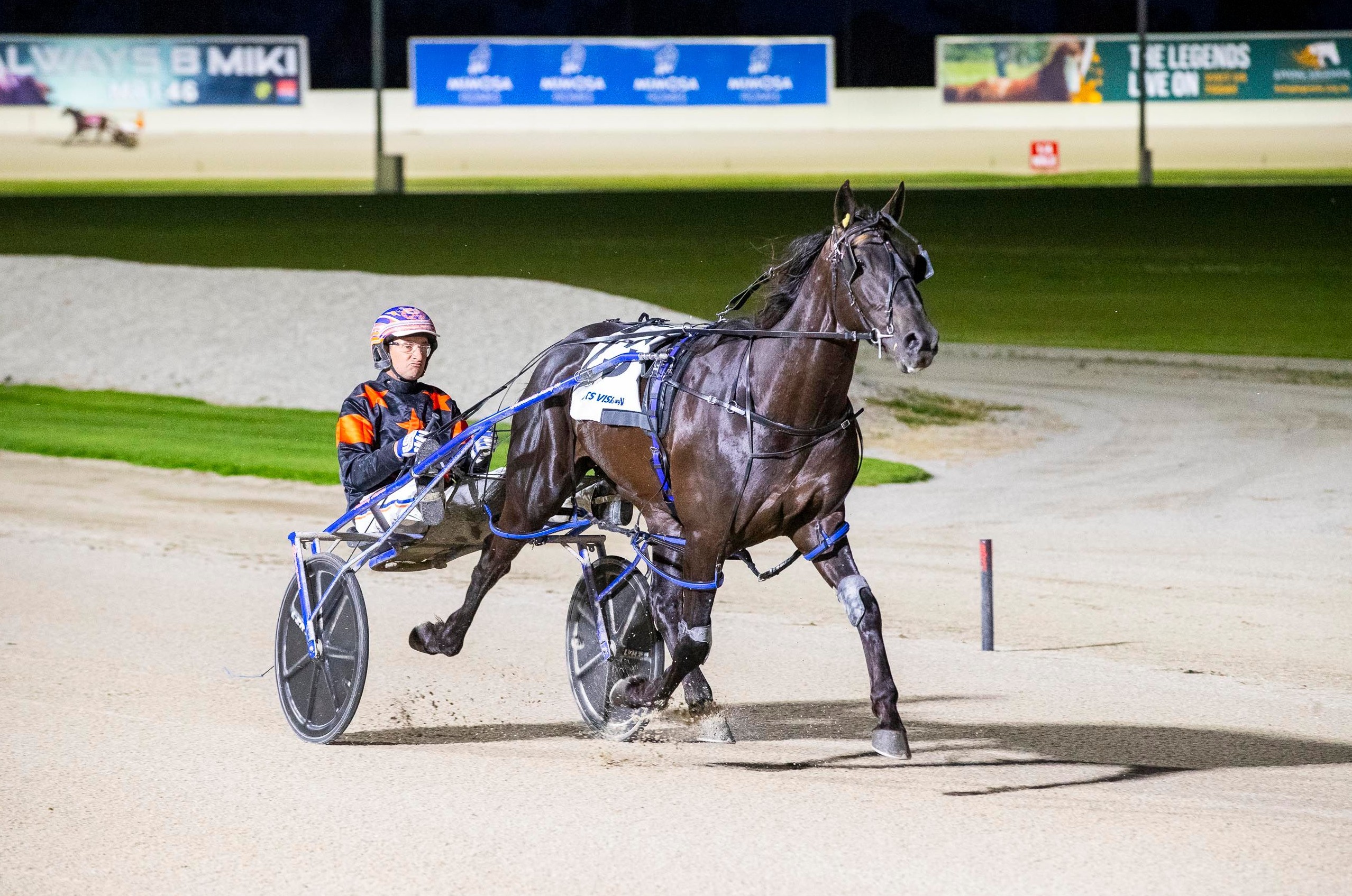 stanley-plotting-vicbred-raid-with-talented-team