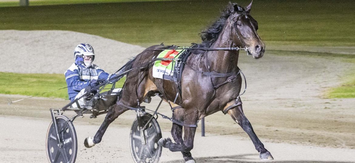 Race 8: Melton Park, Saturday 15-8-2026 Waste Sense NMW Pace (2nd Heat)(0w/15.0k Stake) Winner: The Last Trip (6) Trainer: Emma Stewart; Driver: Taylor Ford Race Distance: 2,240 metres, Mile Rate: 1.54.5 photography: Stuart McCormick