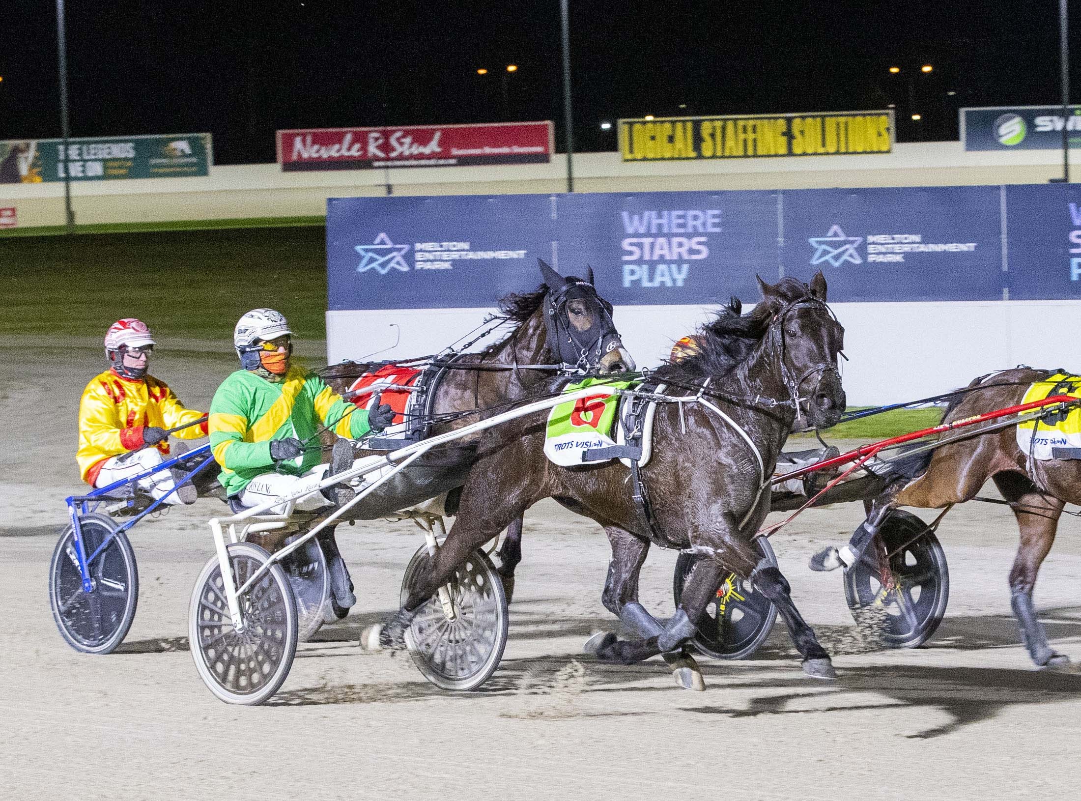 verbici-and-phoenix-rex-set-for-vicbred-final-showdown