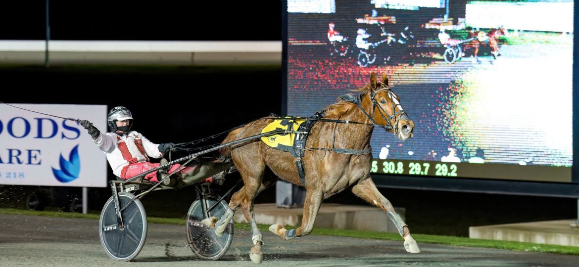 Taylor Youl salutes as Aldebaran Ada claims victory at Wagga in May. Picture: Stephen Hunt.
