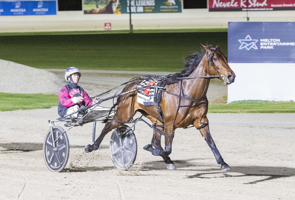 Bettor Beach