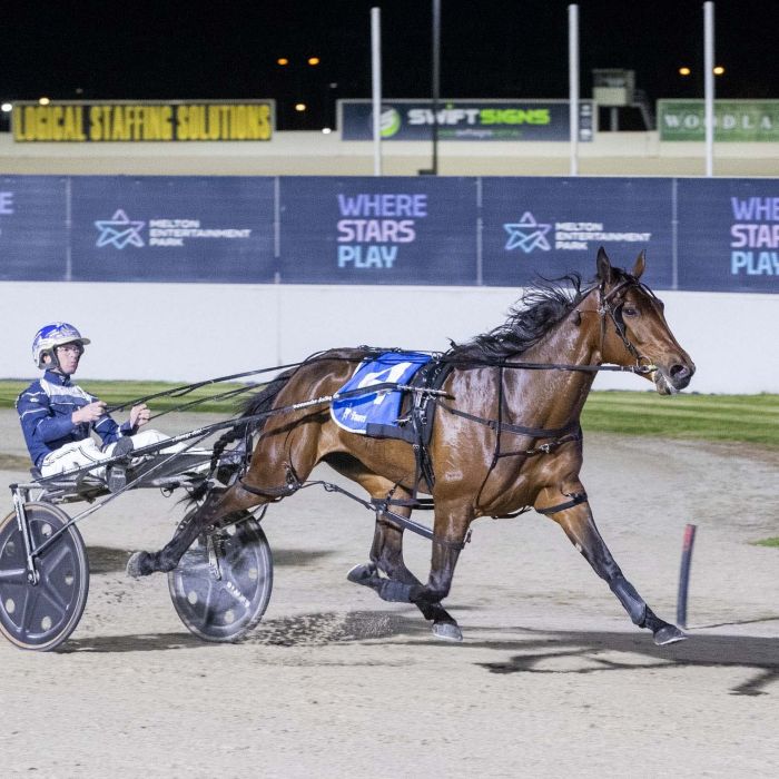 Bettor Beach