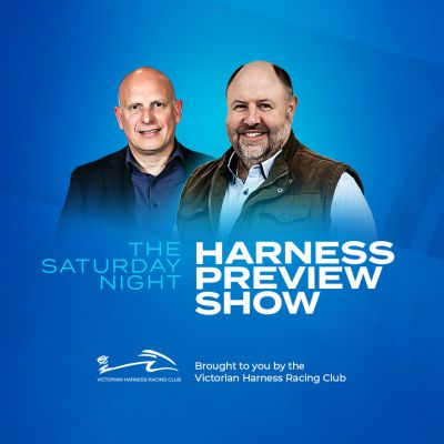 Harness Preview Show copy (002)