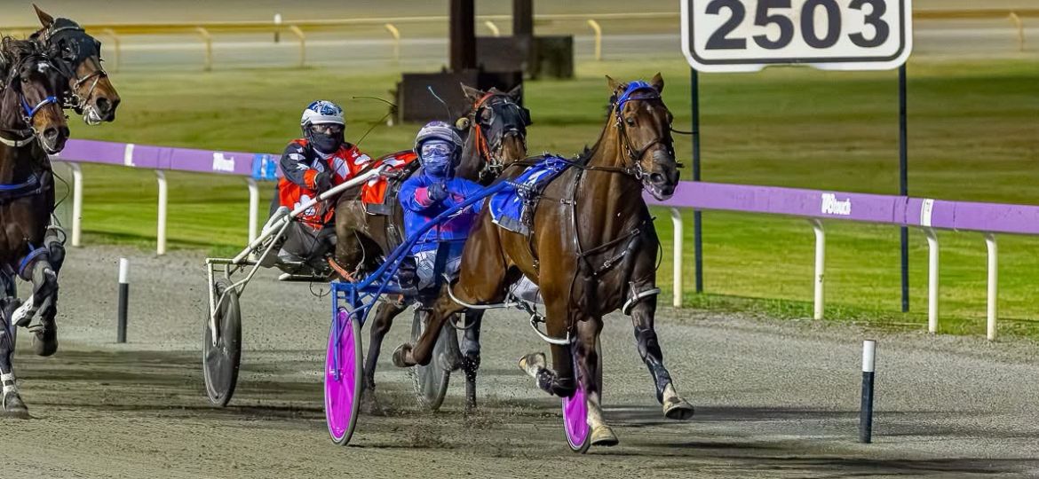 Mad Monday - Racing WA Harness