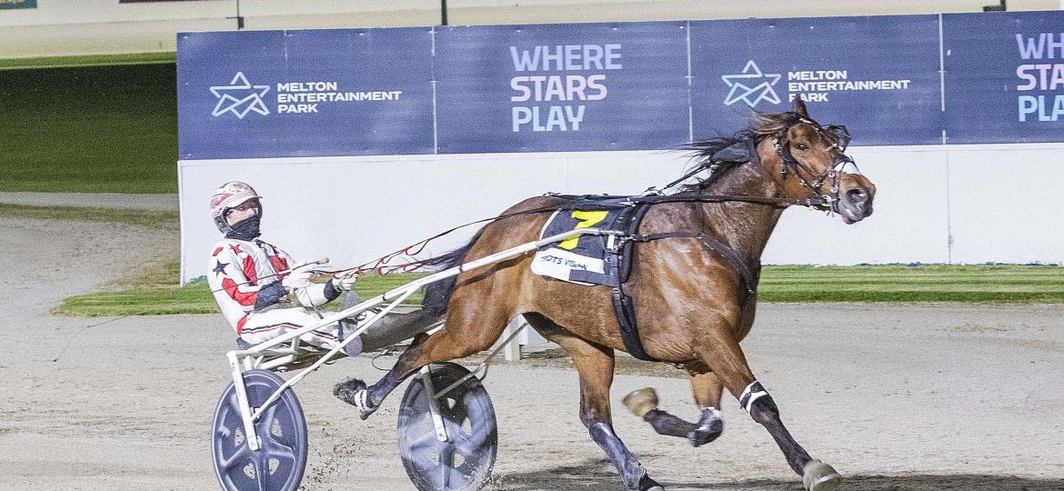 Chris Svanosio and Lovemeto take out last weekend’s V L Dullard Trotters Cup at Melton. Picture: Stuart McCormick.