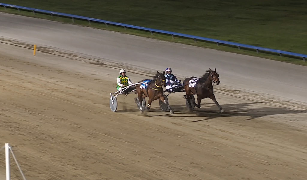 Nighttime Harness Race Under Lights