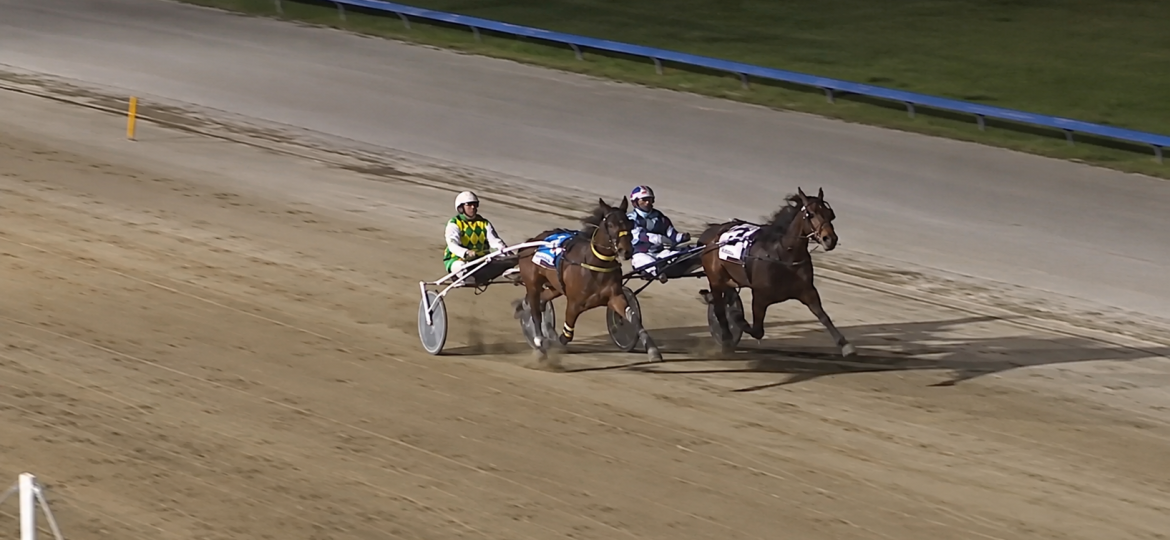 Nighttime Harness Race Under Lights