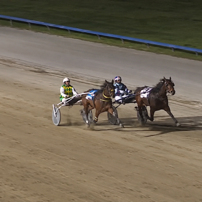 Nighttime Harness Race Under Lights