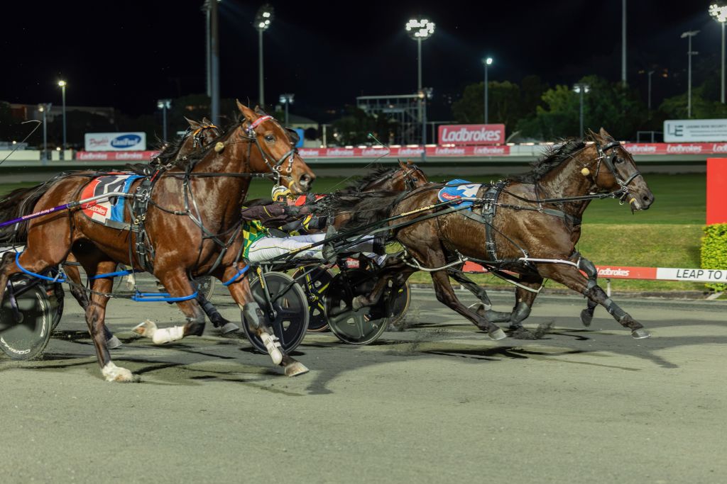 Palladium Queensland Derby