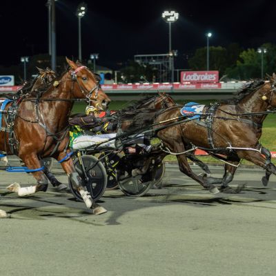 Palladium Queensland Derby