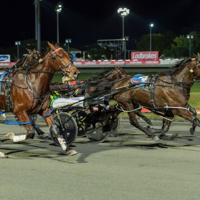 Palladium Queensland Derby